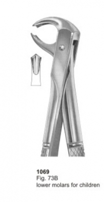  Fig. 73B lower molars for children 